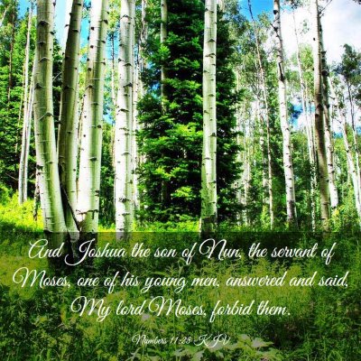 Picture 03 - Numbers 11:28 KJV - And Joshua the son of Nun, the servant of Moses, - Bible Verse Picture