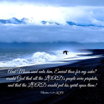 Picture 03 - Numbers 11:29 KJV - And Moses said unto him, Enviest thou for my - Bible Verse Picture