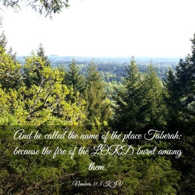 Picture 03 - Numbers 11:3 KJV - And he called the name of the place Taberah: - Bible Verse Picture