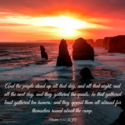 Picture 03 - Numbers 11:32 KJV - And the people stood up all that day, and all - Bible Verse Picture