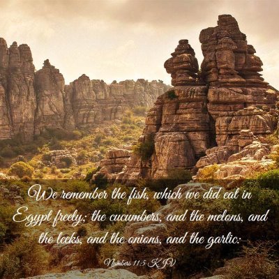 Picture 03 - Numbers 11:5 KJV - We remember the fish, which we did eat in Egypt - Bible Verse Picture