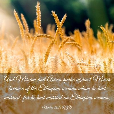 Picture 03 - Numbers 12:1 KJV - And Miriam and Aaron spake against Moses because - Bible Verse Picture