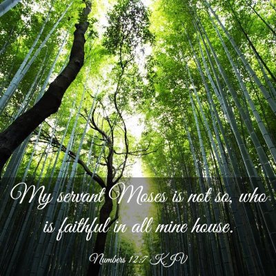 Picture 03 - Numbers 12:7 KJV - My servant Moses is not so, who is faithful in - Bible Verse Picture