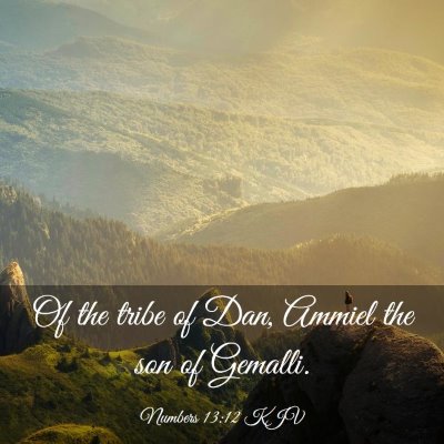 Picture 03 - Numbers 13:12 KJV - Of the tribe of Dan, Ammiel the son of - Bible Verse Picture