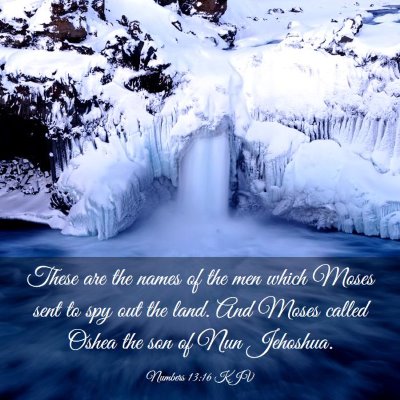 Picture 03 - Numbers 13:16 KJV - These are the names of the men which Moses sent - Bible Verse Picture