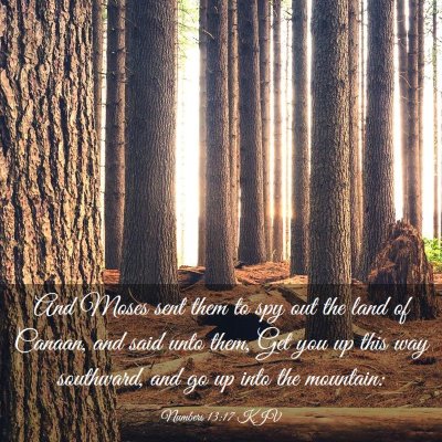 Picture 03 - Numbers 13:17 KJV - And Moses sent them to spy out the land of - Bible Verse Picture