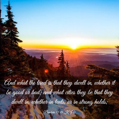 Picture 03 - Numbers 13:19 KJV - And what the land is that they dwell in, whether - Bible Verse Picture