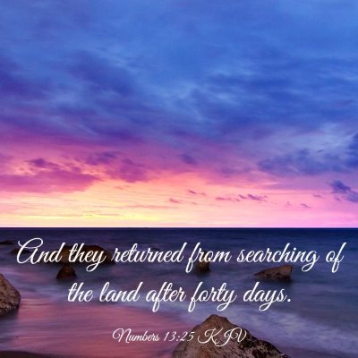 Picture 03 - Numbers 13:25 KJV - And they returned from searching of the land - Bible Verse Picture