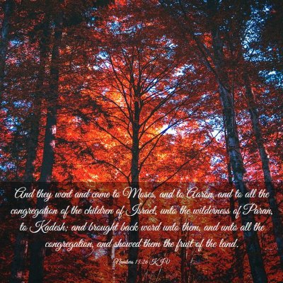 Picture 03 - Numbers 13:26 KJV - And they went and came to Moses, and to Aaron, - Bible Verse Picture