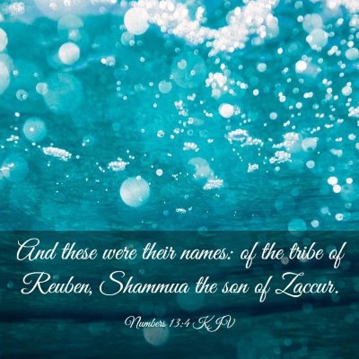 Picture 03 - Numbers 13:4 KJV - And these were their names: of the tribe of - Bible Verse Picture