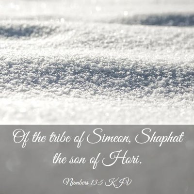 Picture 03 - Numbers 13:5 KJV - Of the tribe of Simeon, Shaphat the son of - Bible Verse Picture