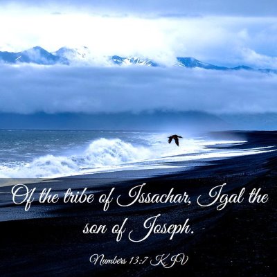 Picture 03 - Numbers 13:7 KJV - Of the tribe of Issachar, Igal the son of - Bible Verse Picture