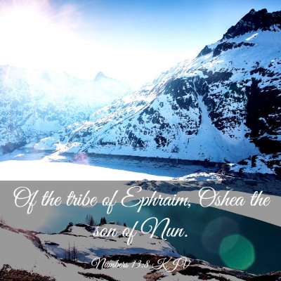 Picture 03 - Numbers 13:8 KJV - Of the tribe of Ephraim, Oshea the son of - Bible Verse Picture