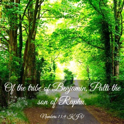Picture 03 - Numbers 13:9 KJV - Of the tribe of Benjamin, Palti the son of - Bible Verse Picture