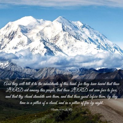 Picture 03 - Numbers 14:14 KJV - And they will tell it to the inhabitants of this - Bible Verse Picture