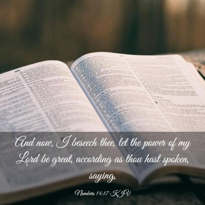 Picture 03 - Numbers 14:17 KJV - And now, I beseech thee, let the power of my Lord - Bible Verse Picture