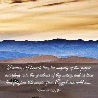 Picture 03 - Numbers 14:19 KJV - Pardon, I beseech thee, the iniquity of this - Bible Verse Picture