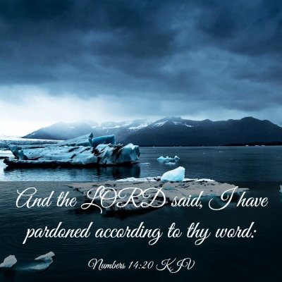 Picture 03 - Numbers 14:20 KJV - And the LORD said, I have pardoned according to - Bible Verse Picture