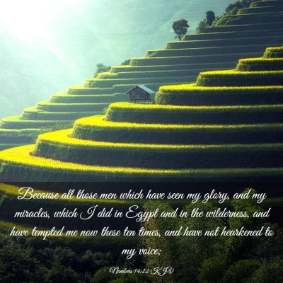 Picture 03 - Numbers 14:22 KJV - Because all those men which have seen my glory, - Bible Verse Picture