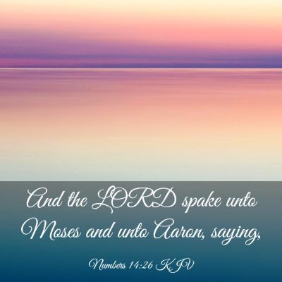Picture 03 - Numbers 14:26 KJV - And the LORD spake unto Moses and unto Aaron, - Bible Verse Picture