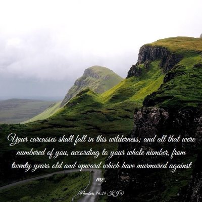 Picture 03 - Numbers 14:29 KJV - Your carcasses shall fall in this wilderness; and - Bible Verse Picture