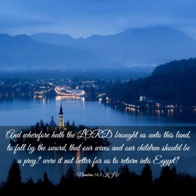 Picture 03 - Numbers 14:3 KJV - And wherefore hath the LORD brought us unto this - Bible Verse Picture