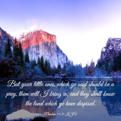 Picture 03 - Numbers 14:31 KJV - But your little ones, which ye said should be a - Bible Verse Picture