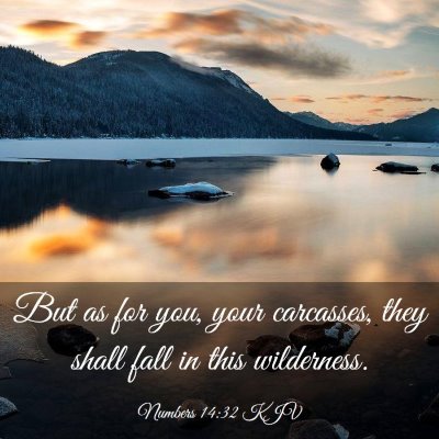 Picture 03 - Numbers 14:32 KJV - But as for you, your carcasses, they shall fall - Bible Verse Picture