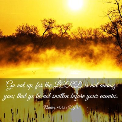 Picture 03 - Numbers 14:42 KJV - Go not up, for the LORD is not among you; that ye - Bible Verse Picture