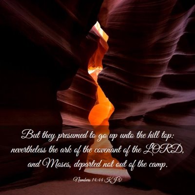 Picture 03 - Numbers 14:44 KJV - But they presumed to go up unto the hill top: - Bible Verse Picture