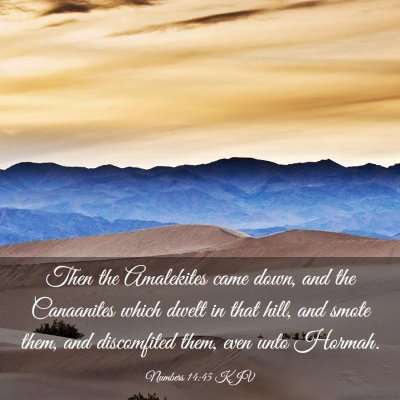 Picture 03 - Numbers 14:45 KJV - Then the Amalekites came down, and the Canaanites - Bible Verse Picture