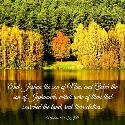 Picture 03 - Numbers 14:6 KJV - And Joshua the son of Nun, and Caleb the son of - Bible Verse Picture