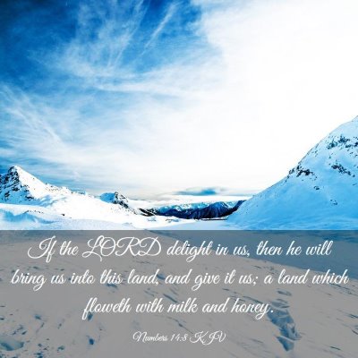 Picture 03 - Numbers 14:8 KJV - If the LORD delight in us, then he will bring us - Bible Verse Picture