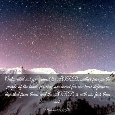 Picture 03 - Numbers 14:9 KJV - Only rebel not ye against the LORD, neither fear - Bible Verse Picture
