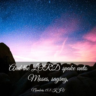 Picture 03 - Numbers 15:1 KJV - And the LORD spake unto Moses, - Bible Verse Picture