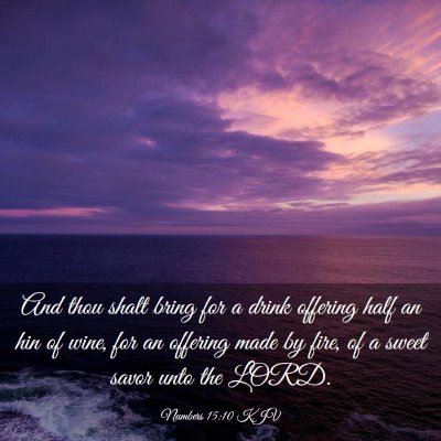 Picture 03 - Numbers 15:10 KJV - And thou shalt bring for a drink offering half an - Bible Verse Picture