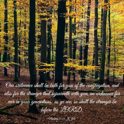 Picture 03 - Numbers 15:15 KJV - One ordinance shall be both for you of the - Bible Verse Picture