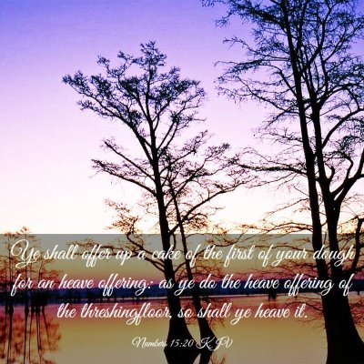 Picture 03 - Numbers 15:20 KJV - Ye shall offer up a cake of the first of your - Bible Verse Picture