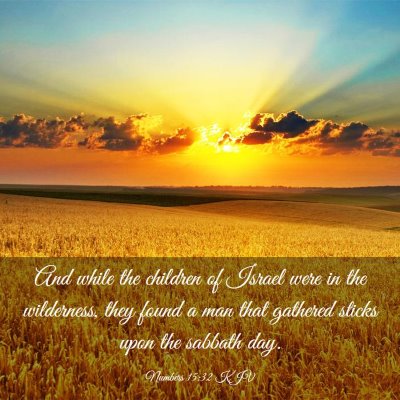 Picture 03 - Numbers 15:32 KJV - And while the children of Israel were in the - Bible Verse Picture