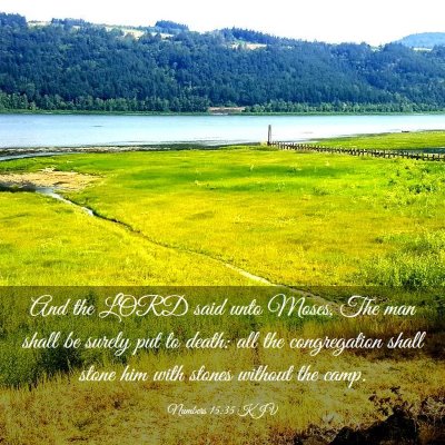 Picture 03 - Numbers 15:35 KJV - And the LORD said unto Moses, The man shall be - Bible Verse Picture