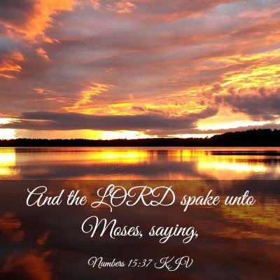 Picture 03 - Numbers 15:37 KJV - And the LORD spake unto Moses, - Bible Verse Picture