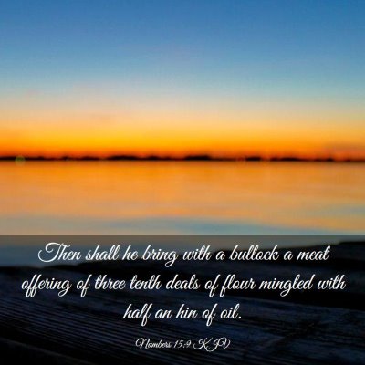 Picture 03 - Numbers 15:9 KJV - Then shall he bring with a bullock a meat - Bible Verse Picture