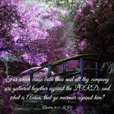 Picture 03 - Numbers 16:11 KJV - For which cause both thou and all thy company are - Bible Verse Picture