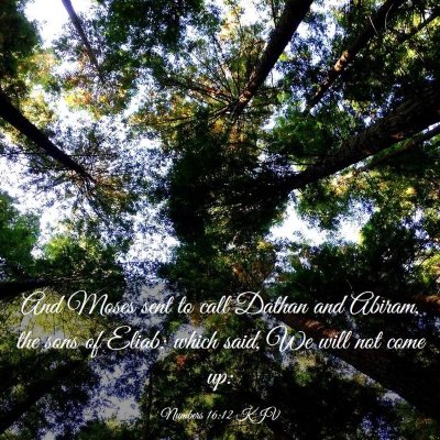 Picture 03 - Numbers 16:12 KJV - And Moses sent to call Dathan and Abiram, the - Bible Verse Picture