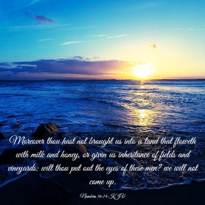Picture 03 - Numbers 16:14 KJV - Moreover thou hast not brought us into a land - Bible Verse Picture