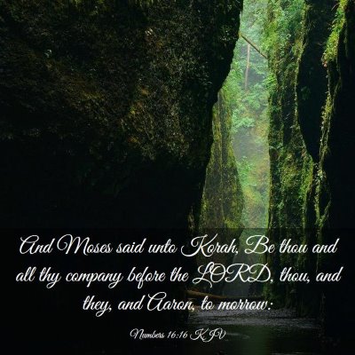 Picture 03 - Numbers 16:16 KJV - And Moses said unto Korah, Be thou and all thy - Bible Verse Picture
