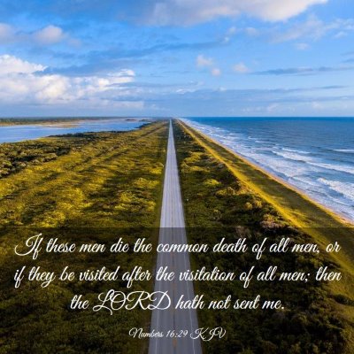 Picture 03 - Numbers 16:29 KJV - If these men die the common death of all men, or - Bible Verse Picture