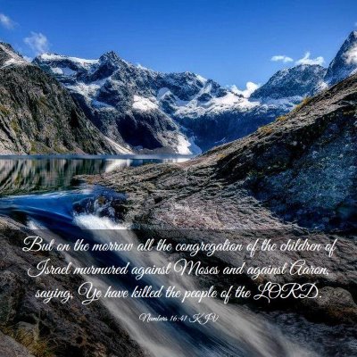 Picture 03 - Numbers 16:41 KJV - But on the morrow all the congregation of the - Bible Verse Picture