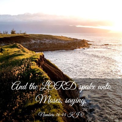 Picture 03 - Numbers 16:44 KJV - And the LORD spake unto Moses, - Bible Verse Picture