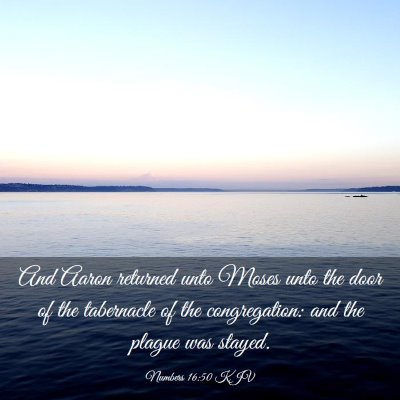 Picture 03 - Numbers 16:50 KJV - And Aaron returned unto Moses unto the door of - Bible Verse Picture